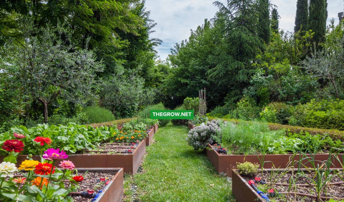 When to Plant Your Vegetable Garden