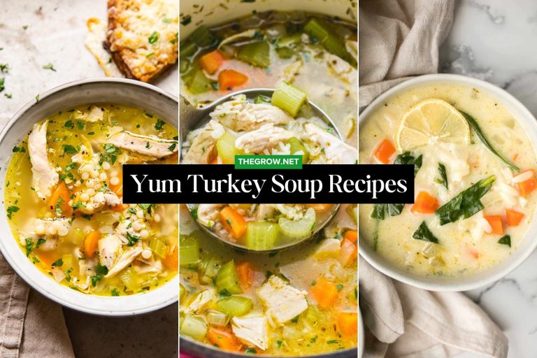 Yum Turkey Soup Recipes