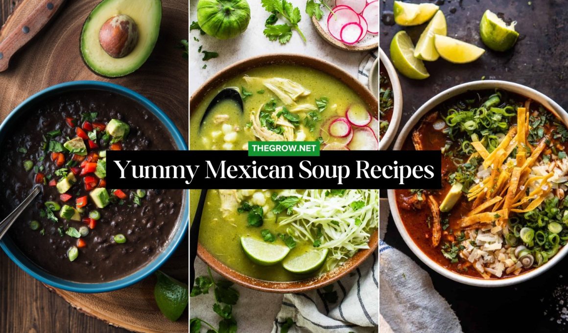 Yummy Mexican Soup Recipes