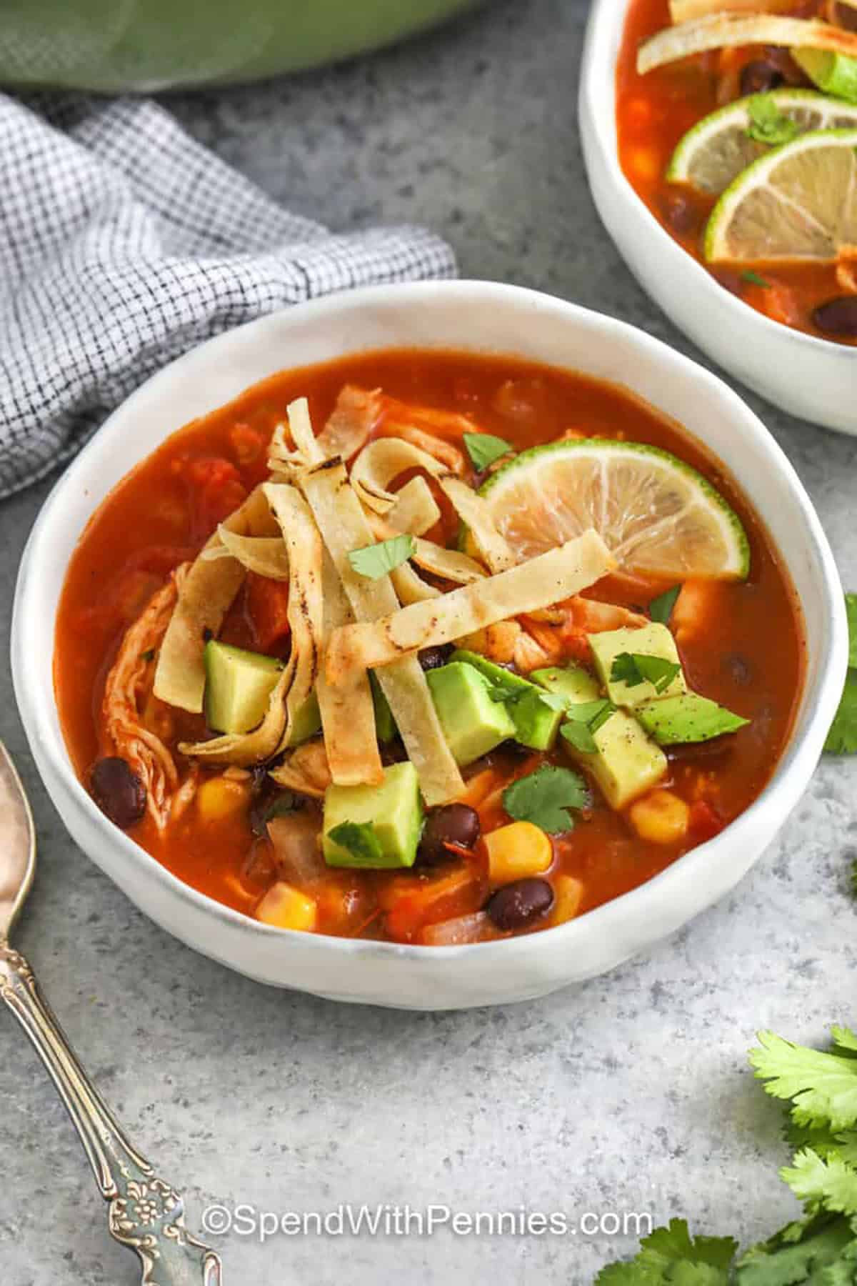 Ground Chicken Tortilla Soup