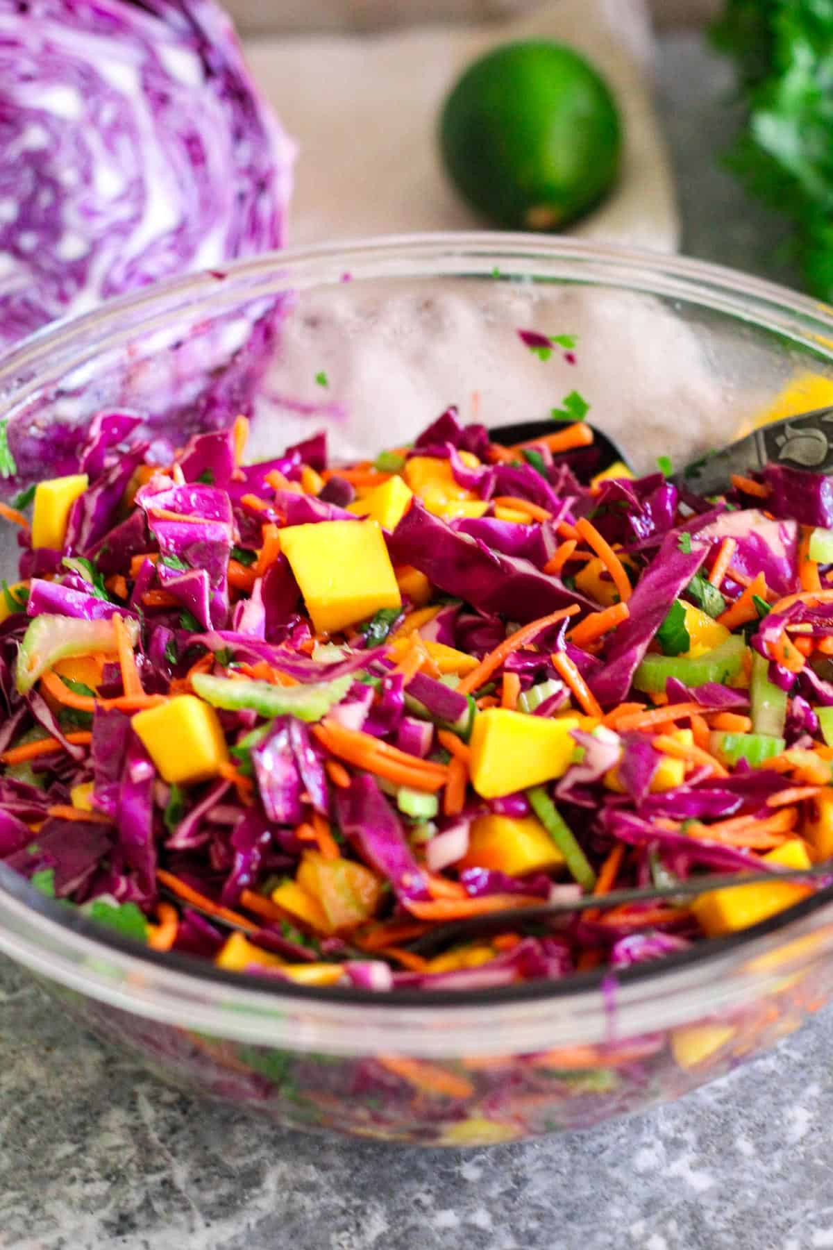 Red Cabbage, Mango, and Mint Salad