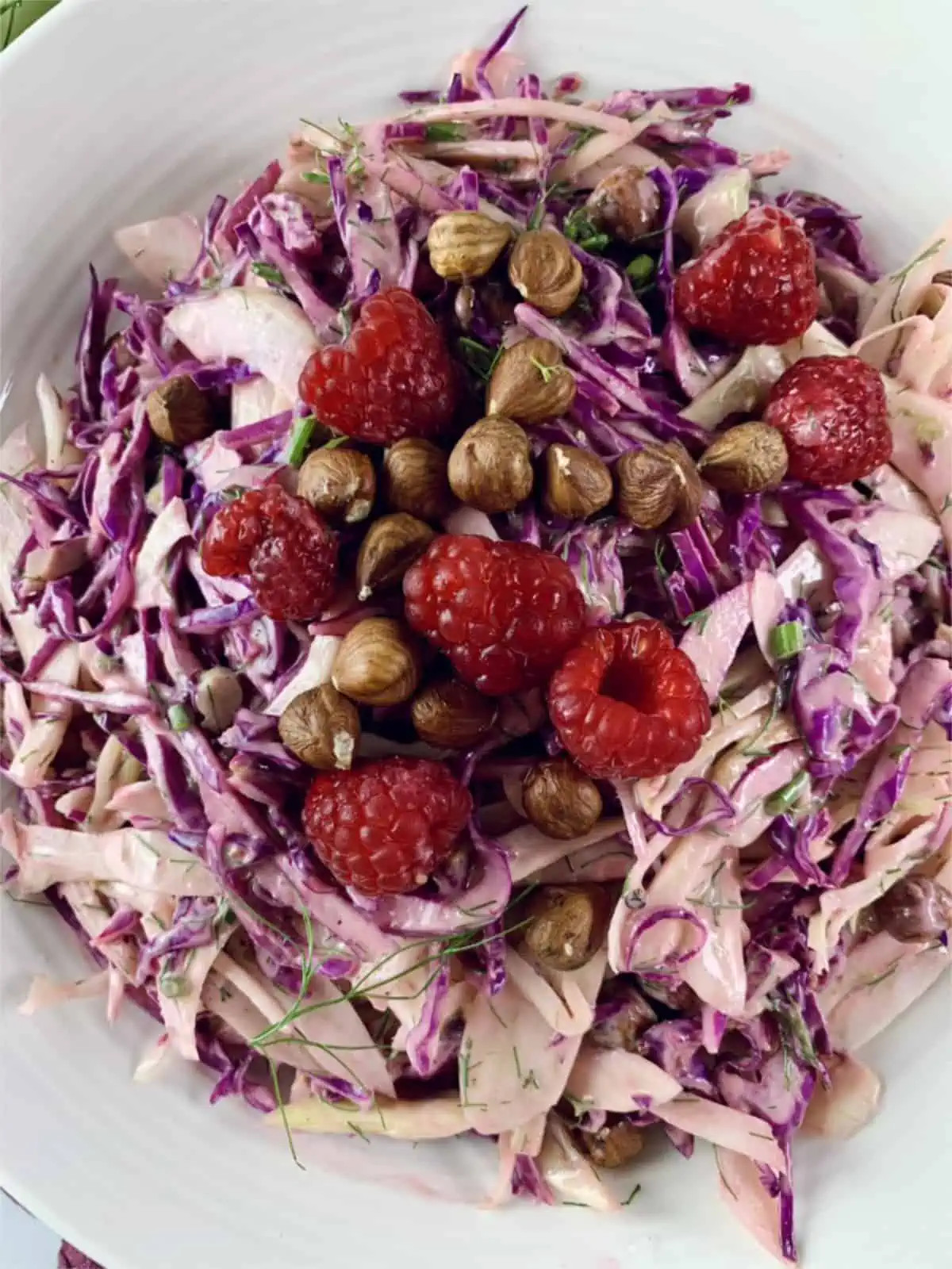 Red Cabbage, Orange, and Fennel Salad