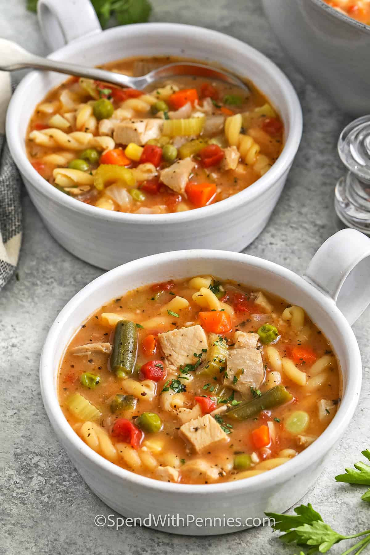 Turkey and Vegetable Soup