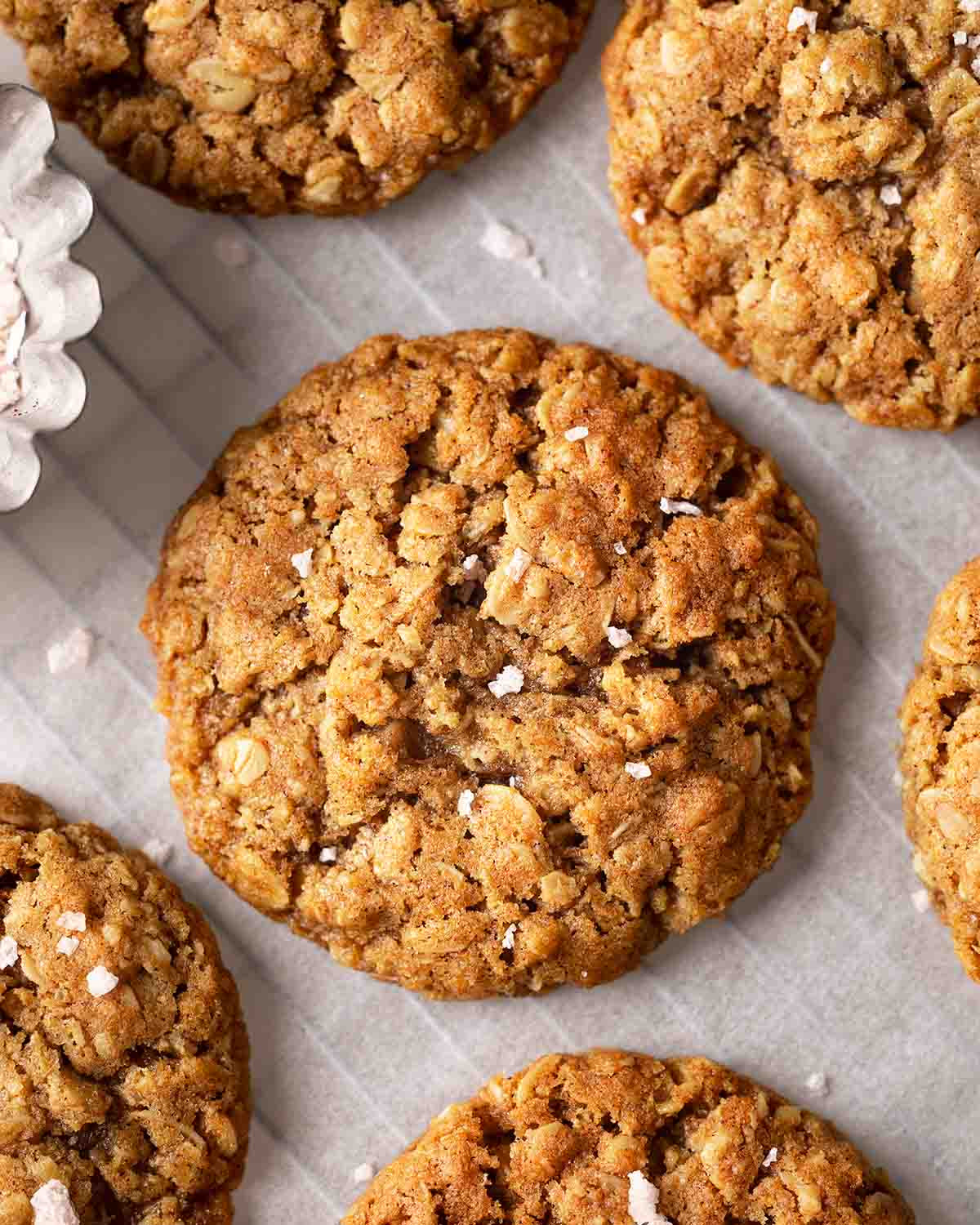 Vegan Oatmeal Raisin Cookies