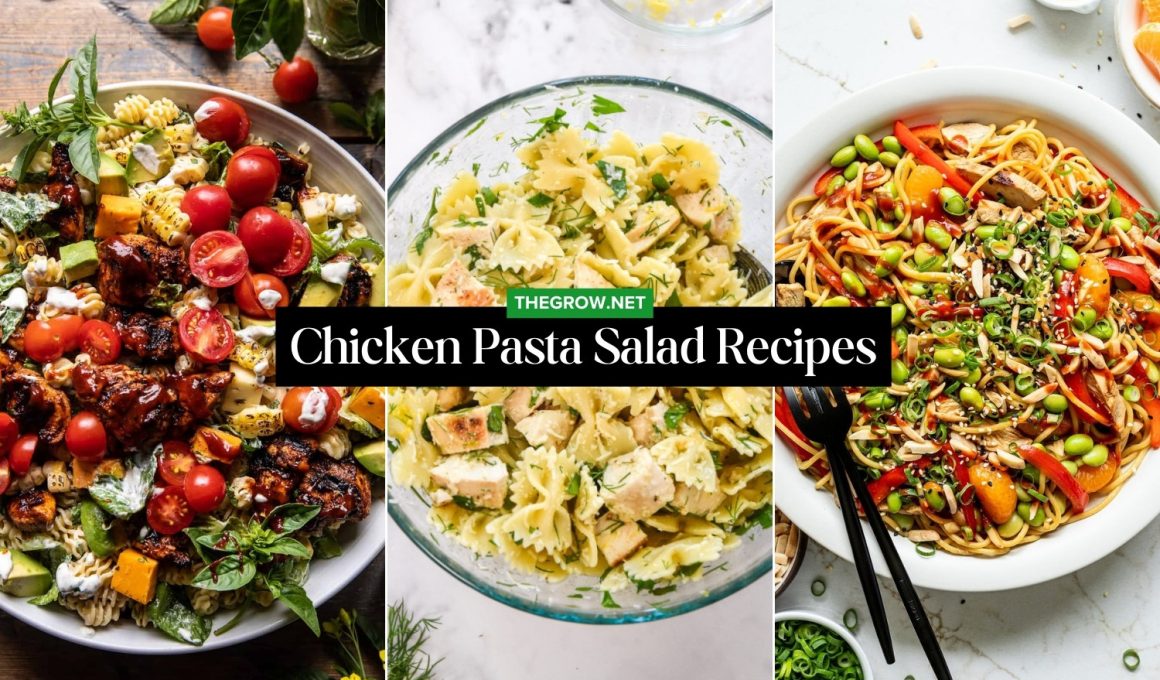 Chicken Pasta Salad Recipes