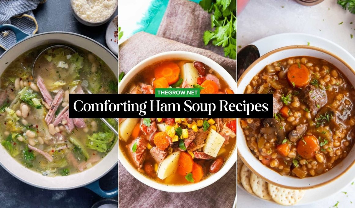 Comforting Ham Soup Recipes