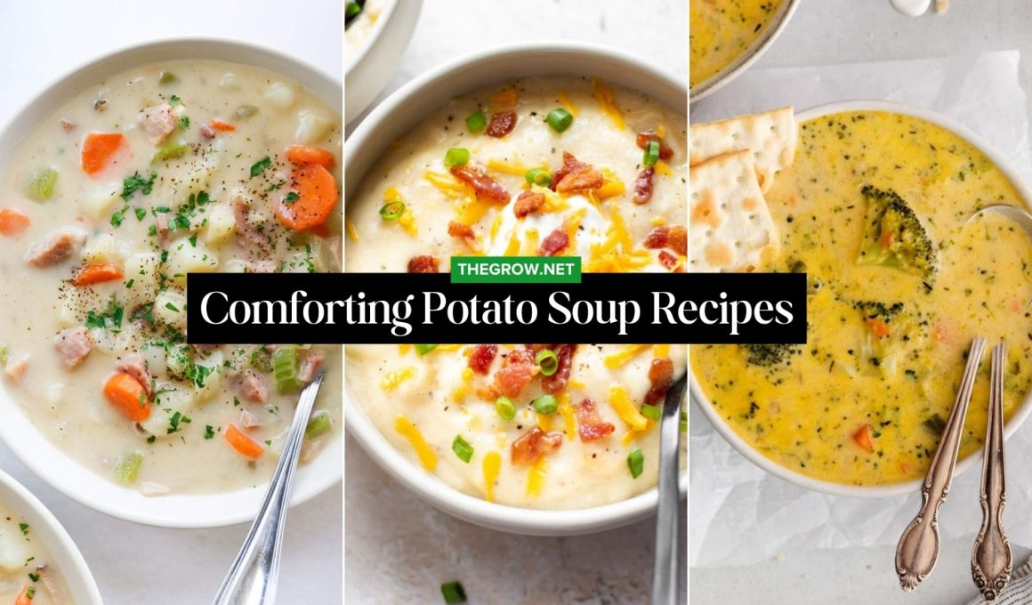 Comforting Potato Soup Recipes