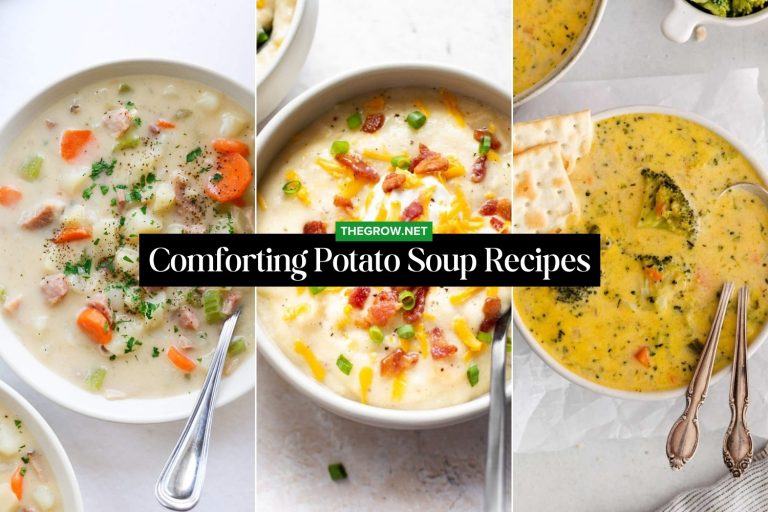Comforting Potato Soup Recipes