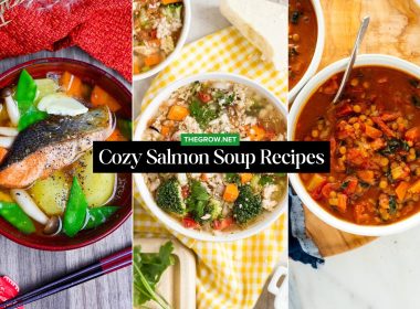 Cozy Salmon Soup Recipes