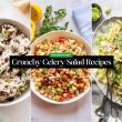 Crunchy Celery Salad Recipes