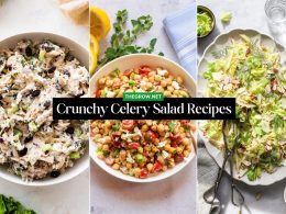 Crunchy Celery Salad Recipes