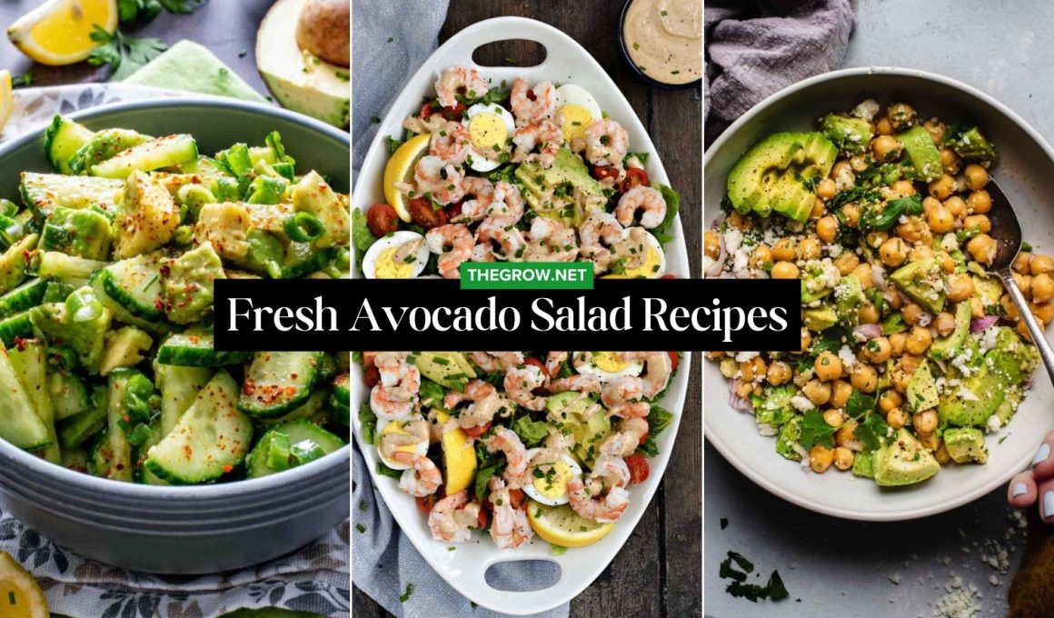 Fresh Avocado Salad Recipes