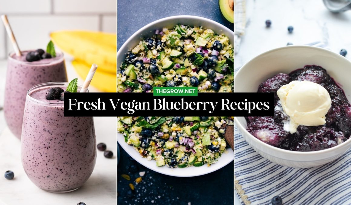Fresh Vegan Blueberry Recipes