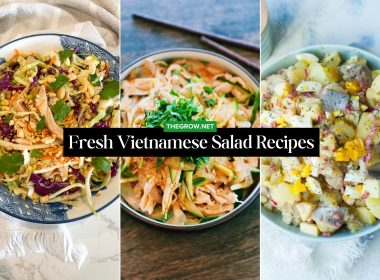 Fresh Vietnamese Salad Recipes