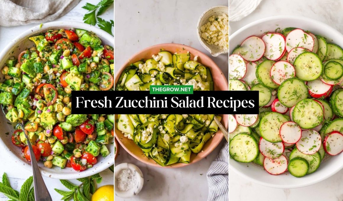 Fresh Zucchini Salad Recipes