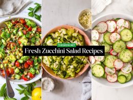 Fresh Zucchini Salad Recipes
