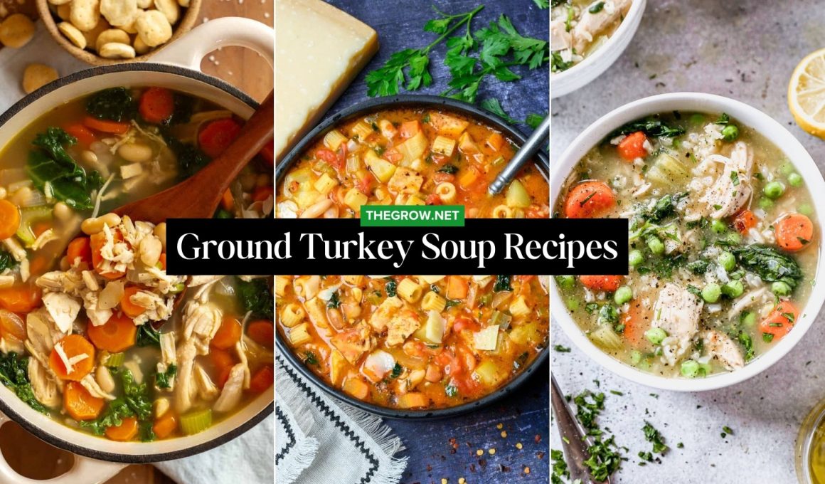 Ground Turkey Soup Recipes