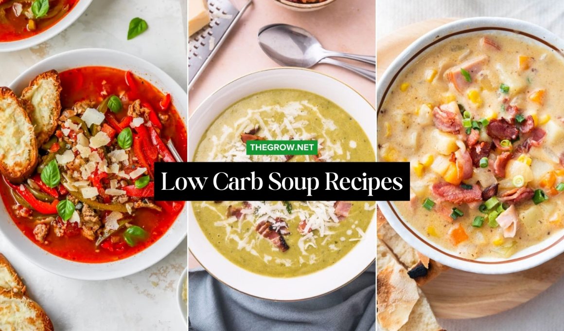 Low Carb Soup Recipes