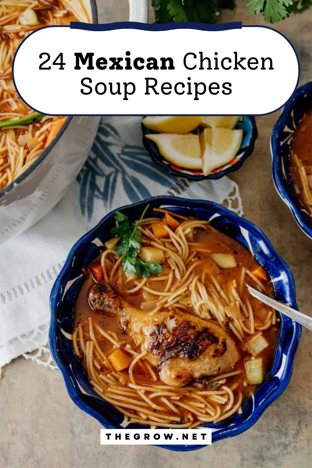 Mexican Chicken Soup Recipe-pin