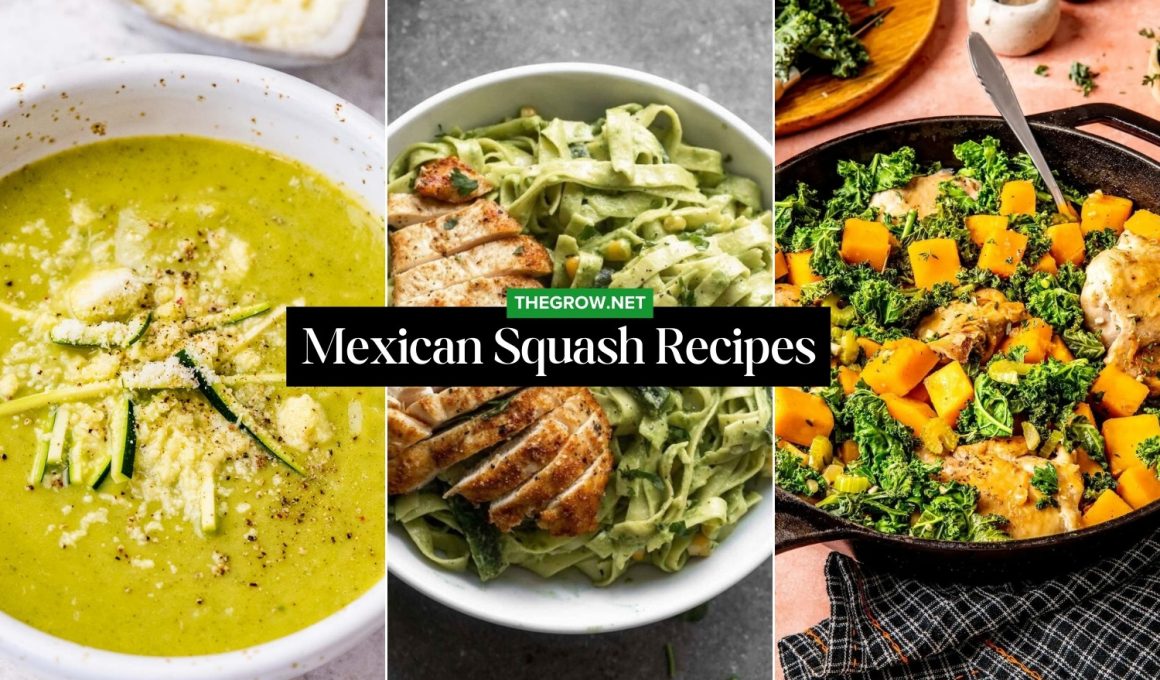 Mexican Squash Recipes