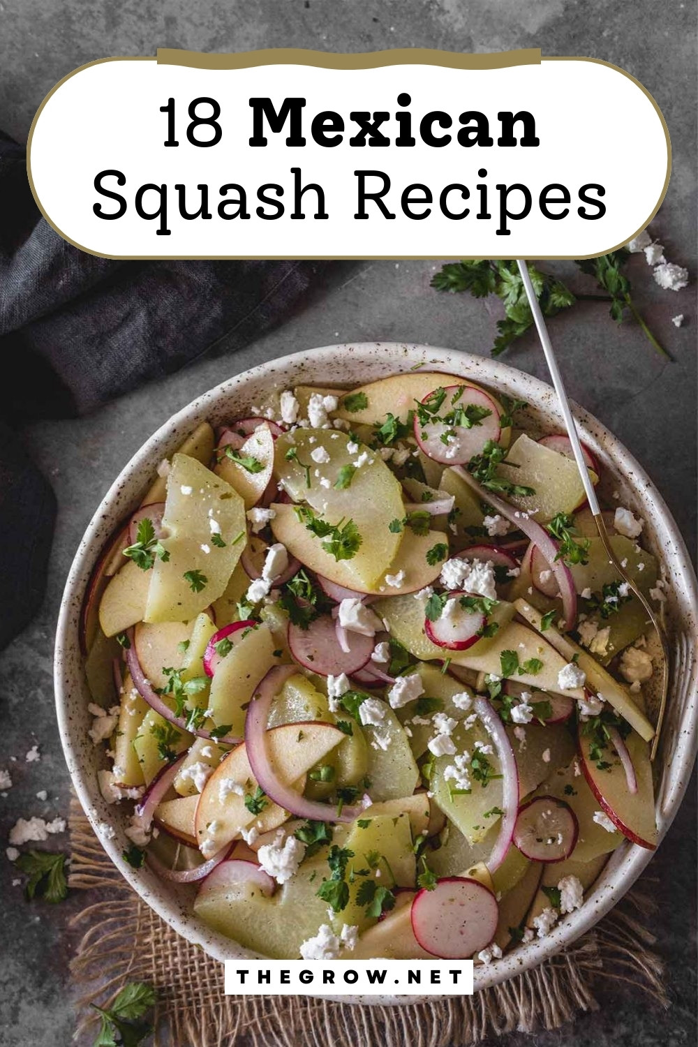 Mexican Squash Recipes