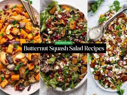 Roasted Butternut Squash Salad Recipes