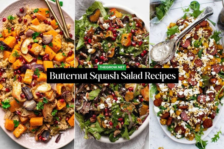 Roasted Butternut Squash Salad Recipes