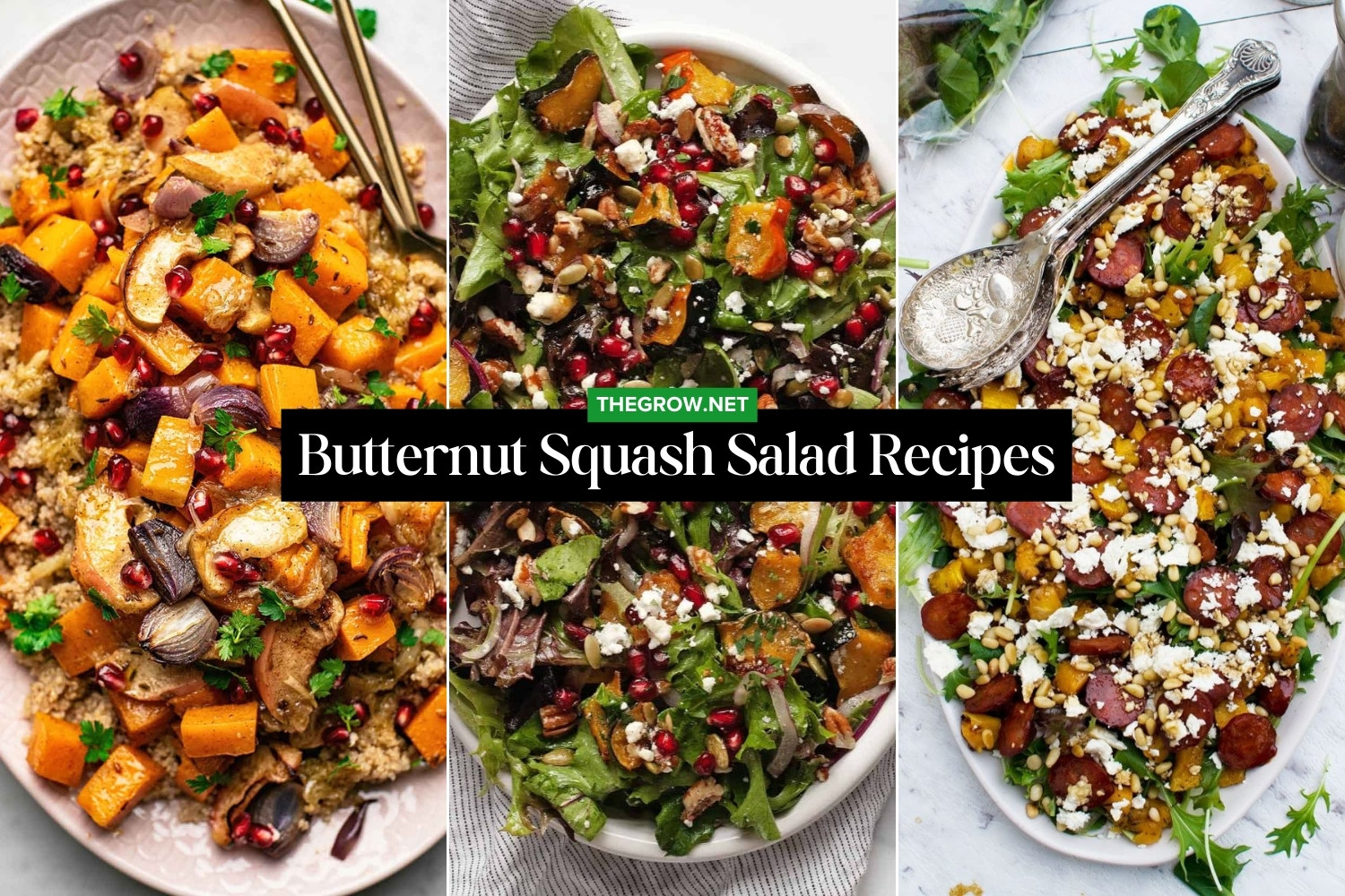 Roasted Butternut Squash Salad Recipes