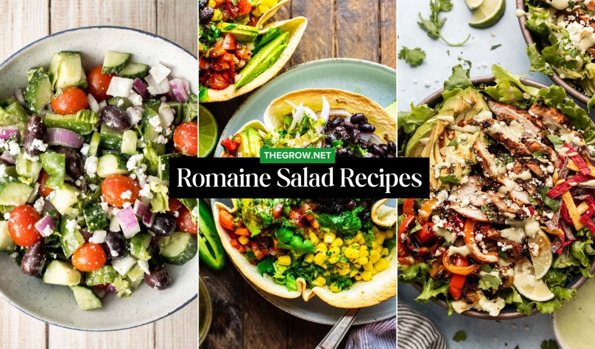 Romaine Salad Recipes with Simple Dressings