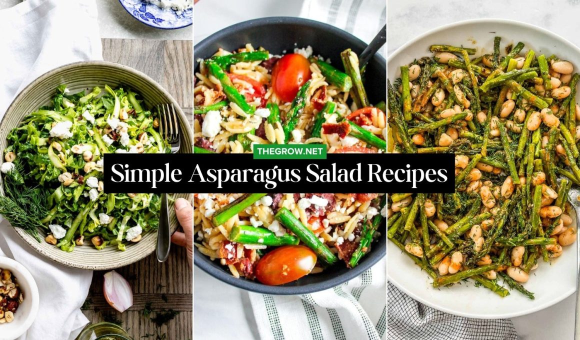 Simple Asparagus Salad Recipes