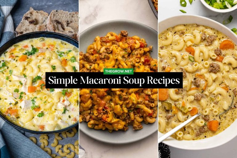 Simple Macaroni Soup Recipes