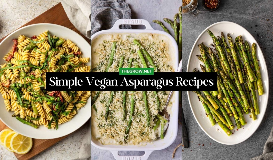 Simple Vegan Asparagus Recipes