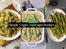 Simple Vegan Asparagus Recipes