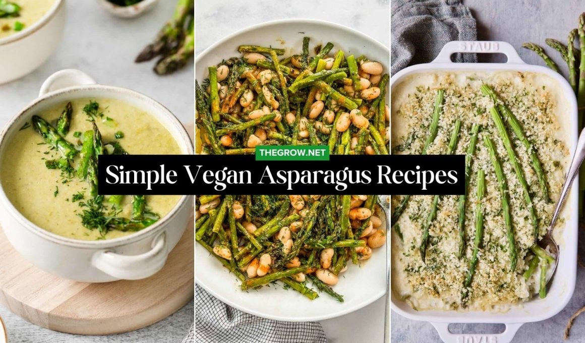Simple Vegan Asparagus Recipes