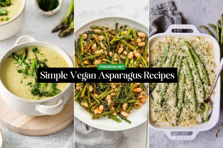 Simple Vegan Asparagus Recipes