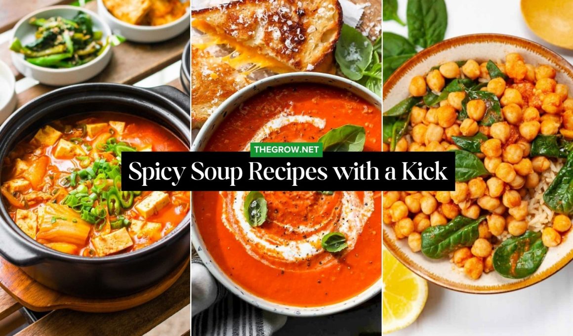 Spicy Soup Recipes with a Kick