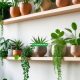 Stylish Indoor Plant Stand Ideas for Modern Home Décor