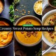 Sweet Potato Soup Recipes