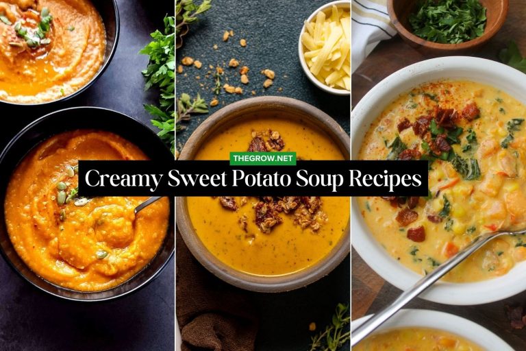 Sweet Potato Soup Recipes