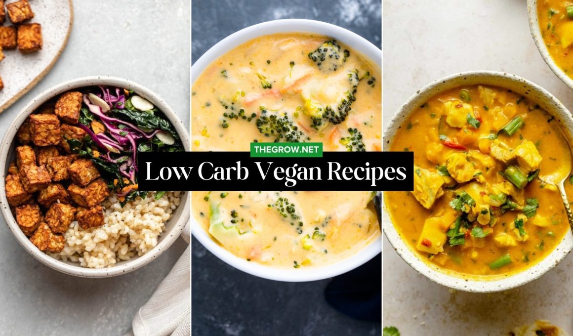 Low Carb Vegan Recipes