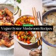 Vegan Oyster Mushroom Recipes