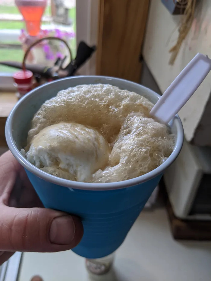 Ice Cream Float with Vegan Soda