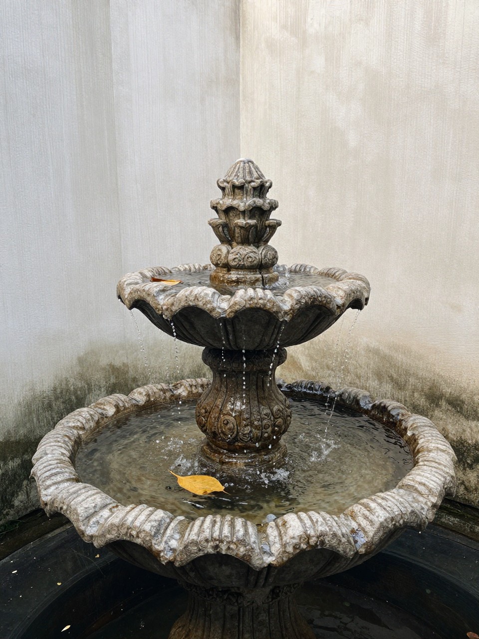 Photo of a small stone fountain with water trickling into a basin, straight-on wall view, garden corner setting, soft morning light, containing a single floating leaf in the basin, iPhone photo quality.