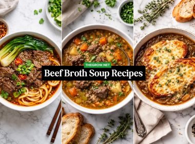 Beef Broth Soup Recipes