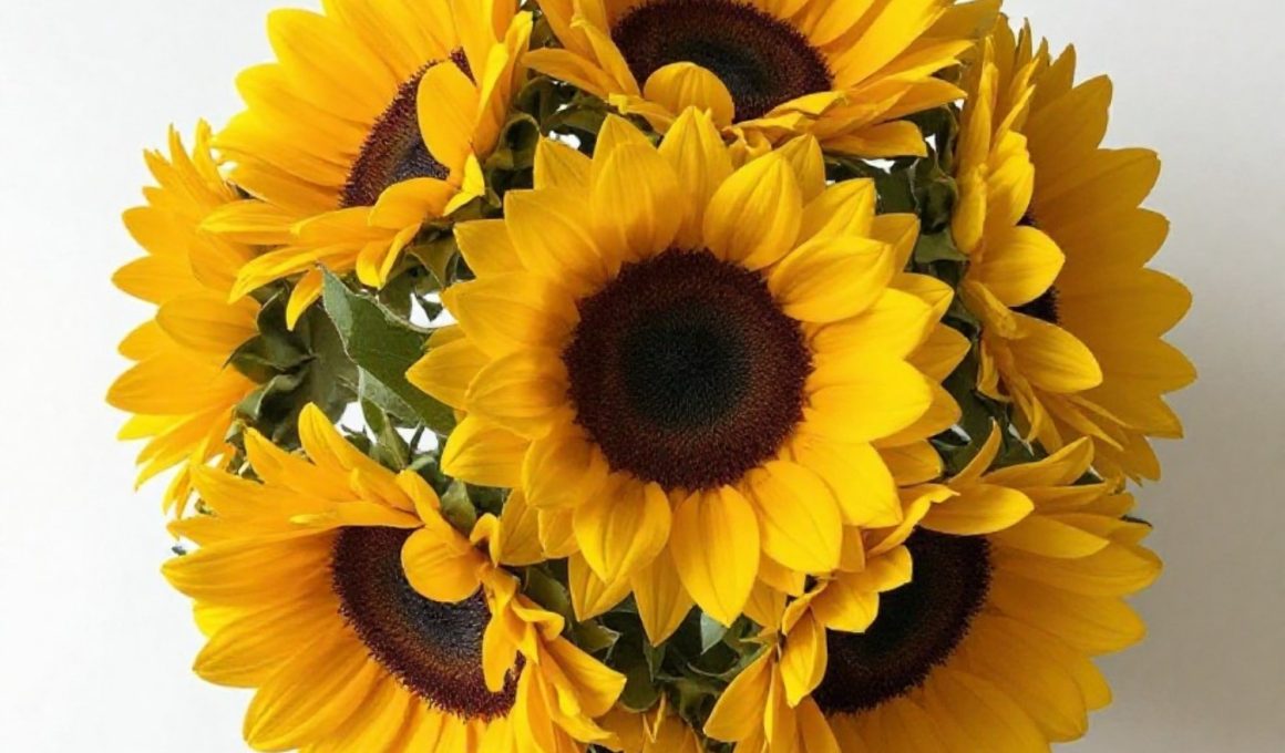 Bright Sunflower Paper Craft Ideas to Try