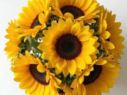 Bright Sunflower Paper Craft Ideas to Try