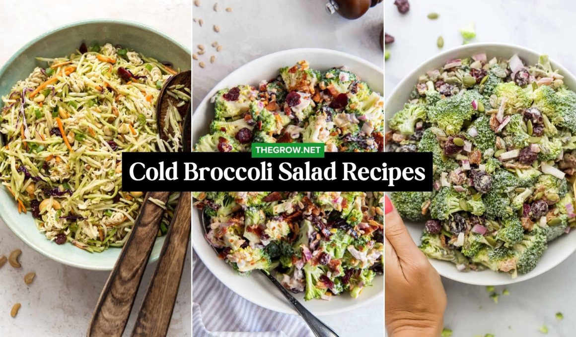 Cold Broccoli Salad Recipes