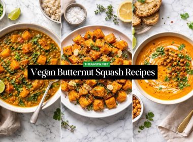 Comforting Vegan Butternut Squash Recipes