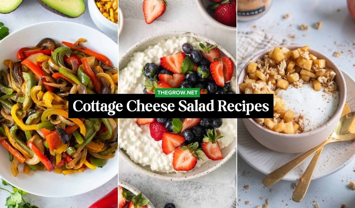 Cottage Cheese Salad Recipes