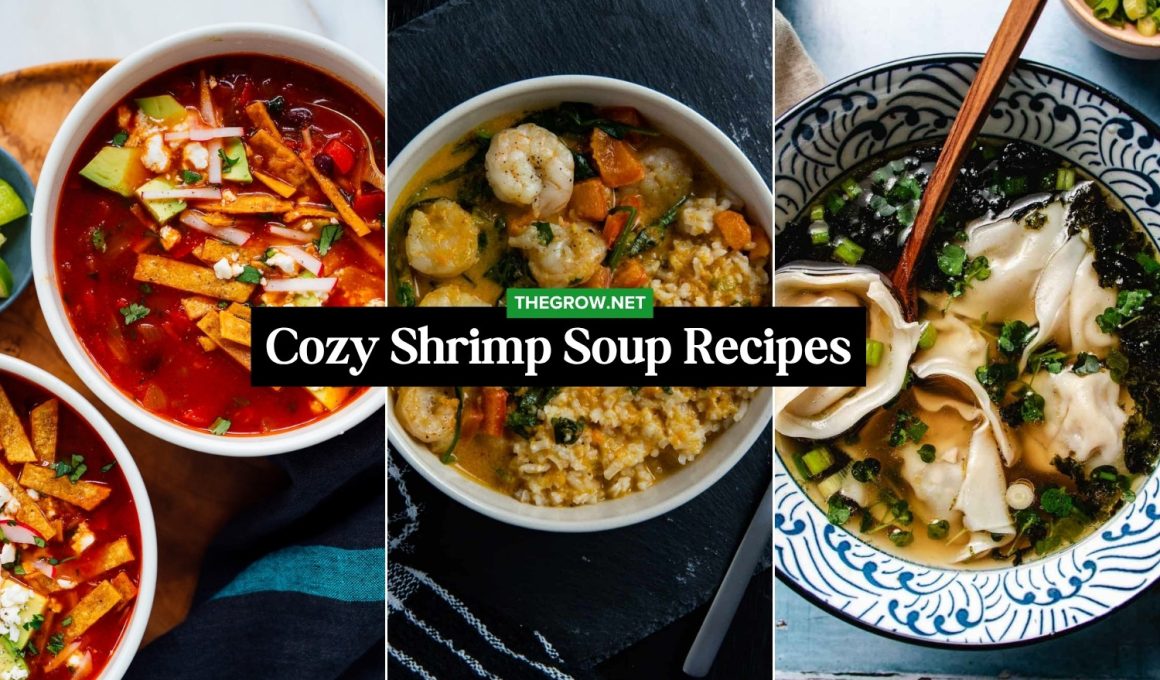 Cozy Shrimp Soup Recipes